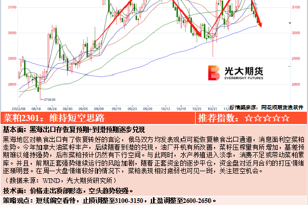 ：为何这些照片引发如此关注？AG真人黄色直播网站vivo