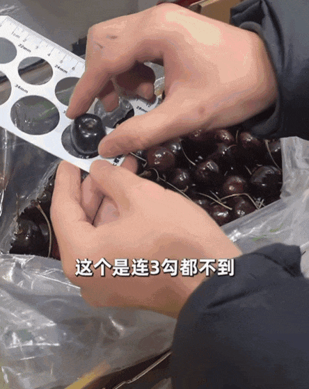 的老水果去哪儿了?AG真人便宜又好吃(图9) 的老水果去哪儿了?AG真人便宜又好吃(图9)