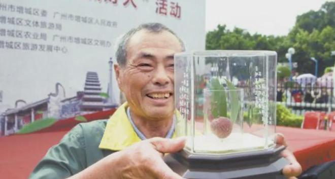 的老水果去哪儿了?AG真人便宜又好吃(图16) 的老水果去哪儿了?AG真人便宜又好吃(图16)